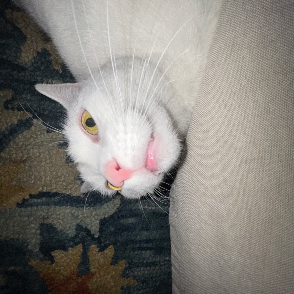 …